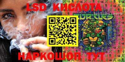 стаф Моздок