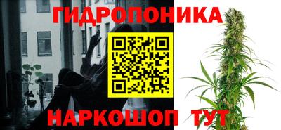 стаф Моздок