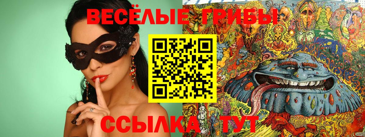 Галлюциногенные грибы мицелий Черногорск